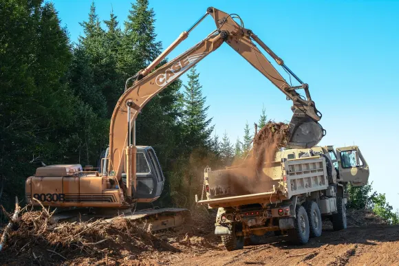 Casino Golden Crown Tacaíocht